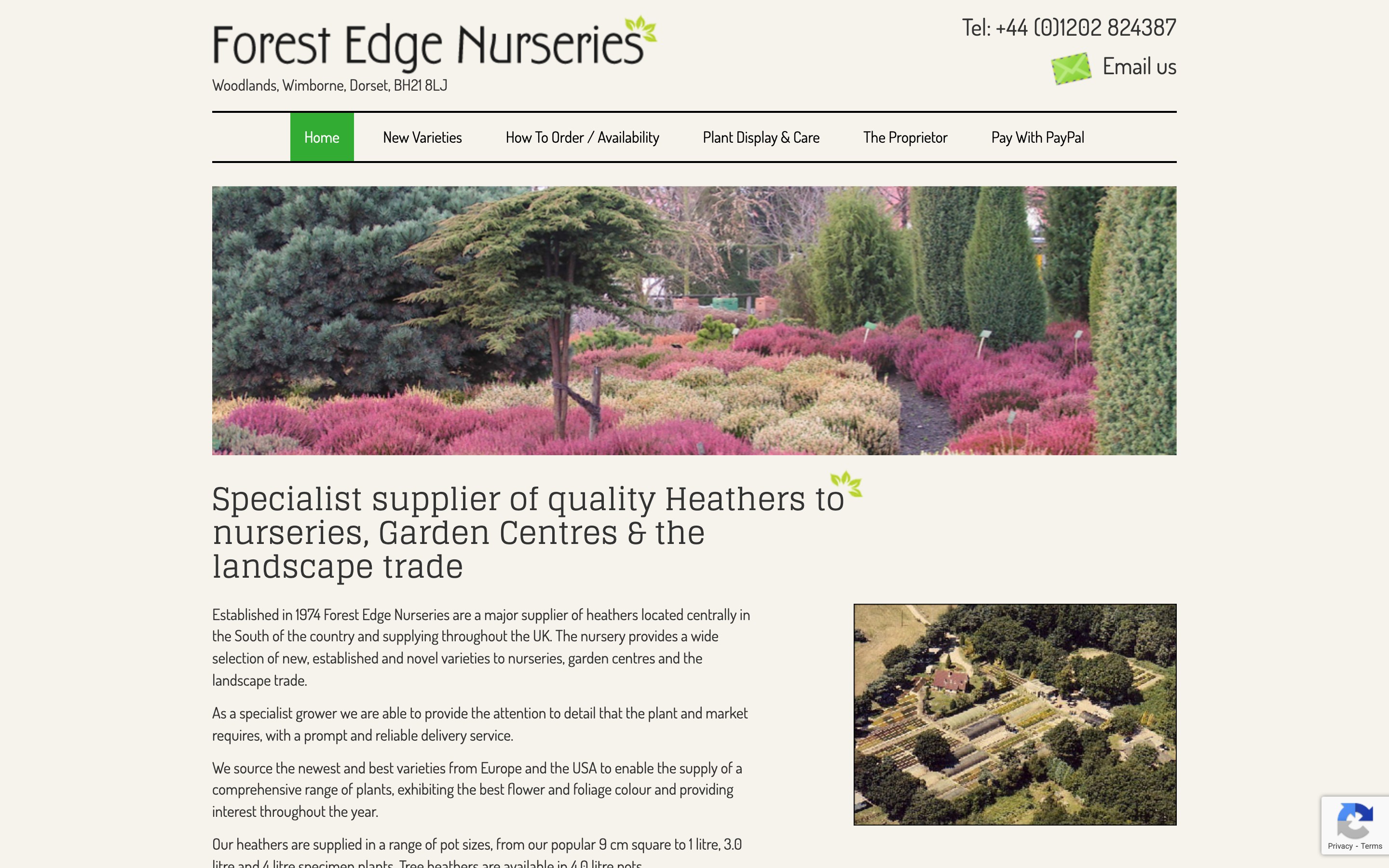 Forest Edge Nurseries