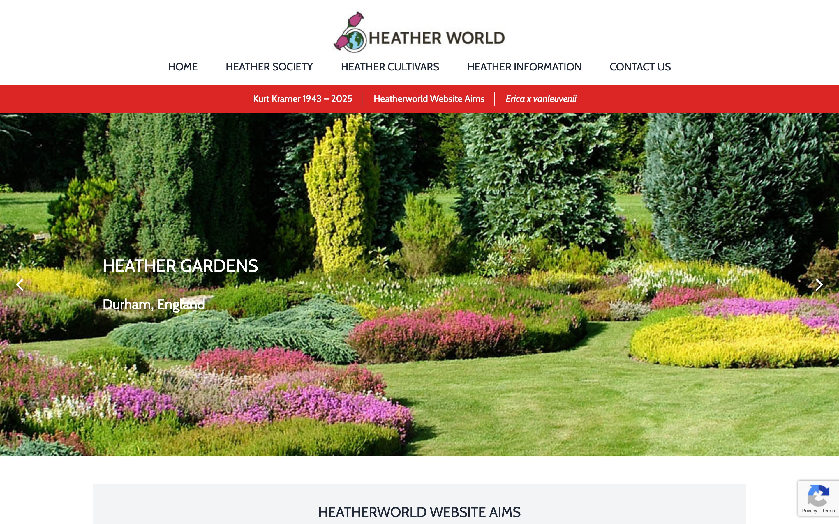 Heather World